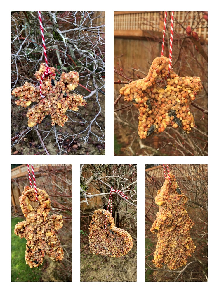 AllNatural DIY Suet Bird Feeders allmomdoes