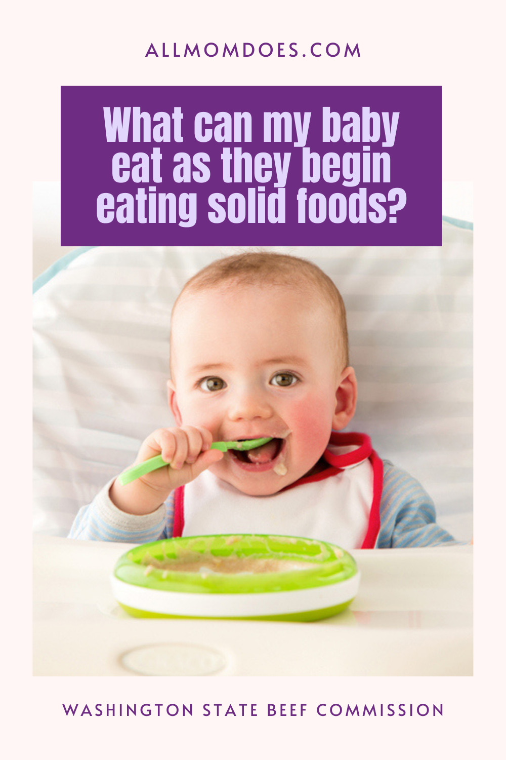 What Can My Baby Eat As They Begin Eating Solid Foods Allmomdoes