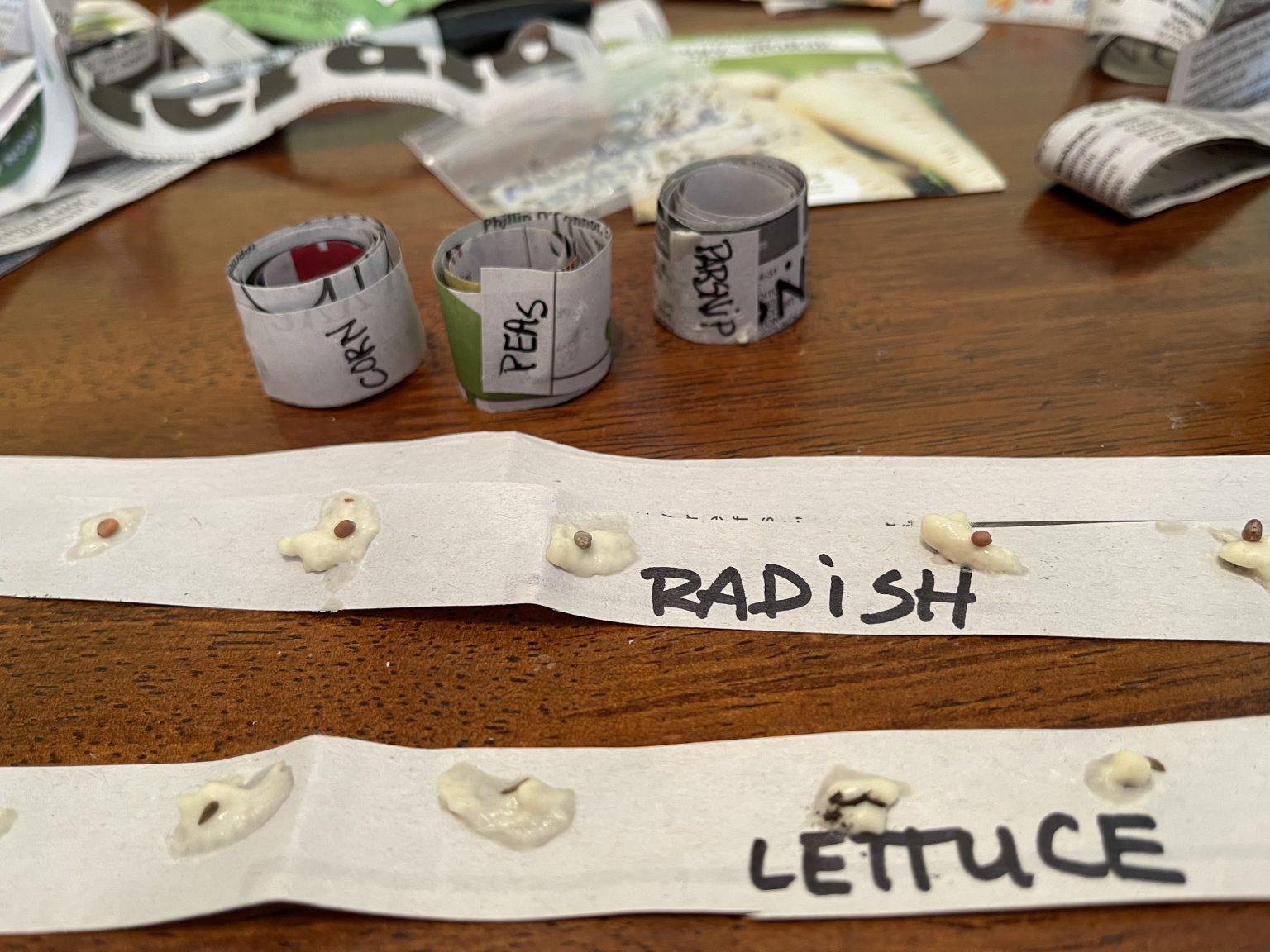 Making Your Own Seed Tape AllMomDoes