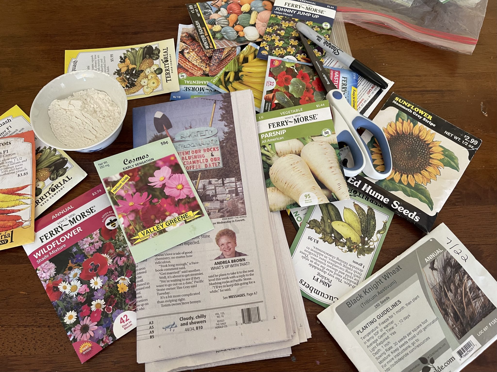 Making Your Own Seed Tape AllMomDoes