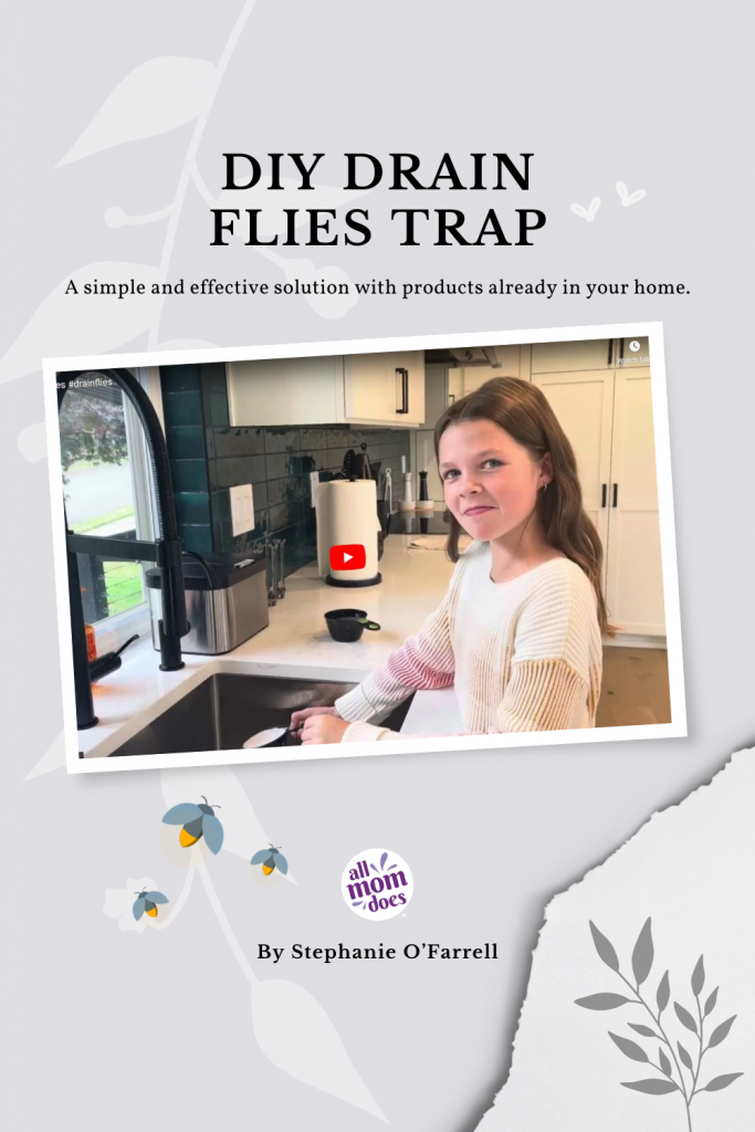 DIY Drain Fly Trap Effective Home Solution To Eliminate Pests DIY Drain Fly Trap Effective Home Solution To Eliminate Pests
